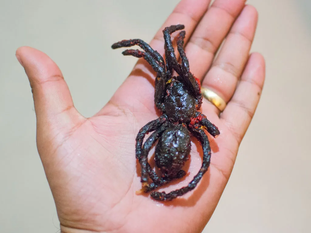 20723 tarantula cooking spices