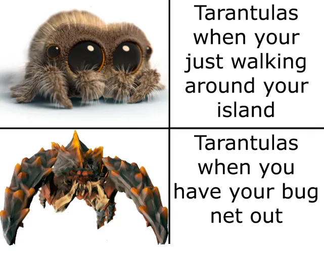 20726 animal crossing tarantula spawning