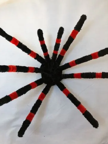 /img/20727-tarantula-with-pipe-cleaner.webp