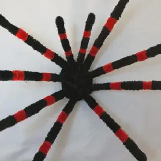 /img/20727-tarantula-with-pipe-cleaner.webp