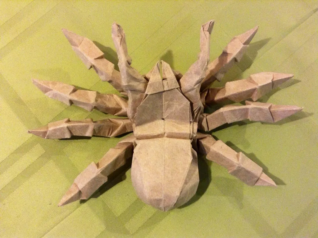 /img/20744-displaying-origami.webp
