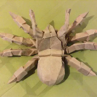 /img/20744-displaying-origami.webp