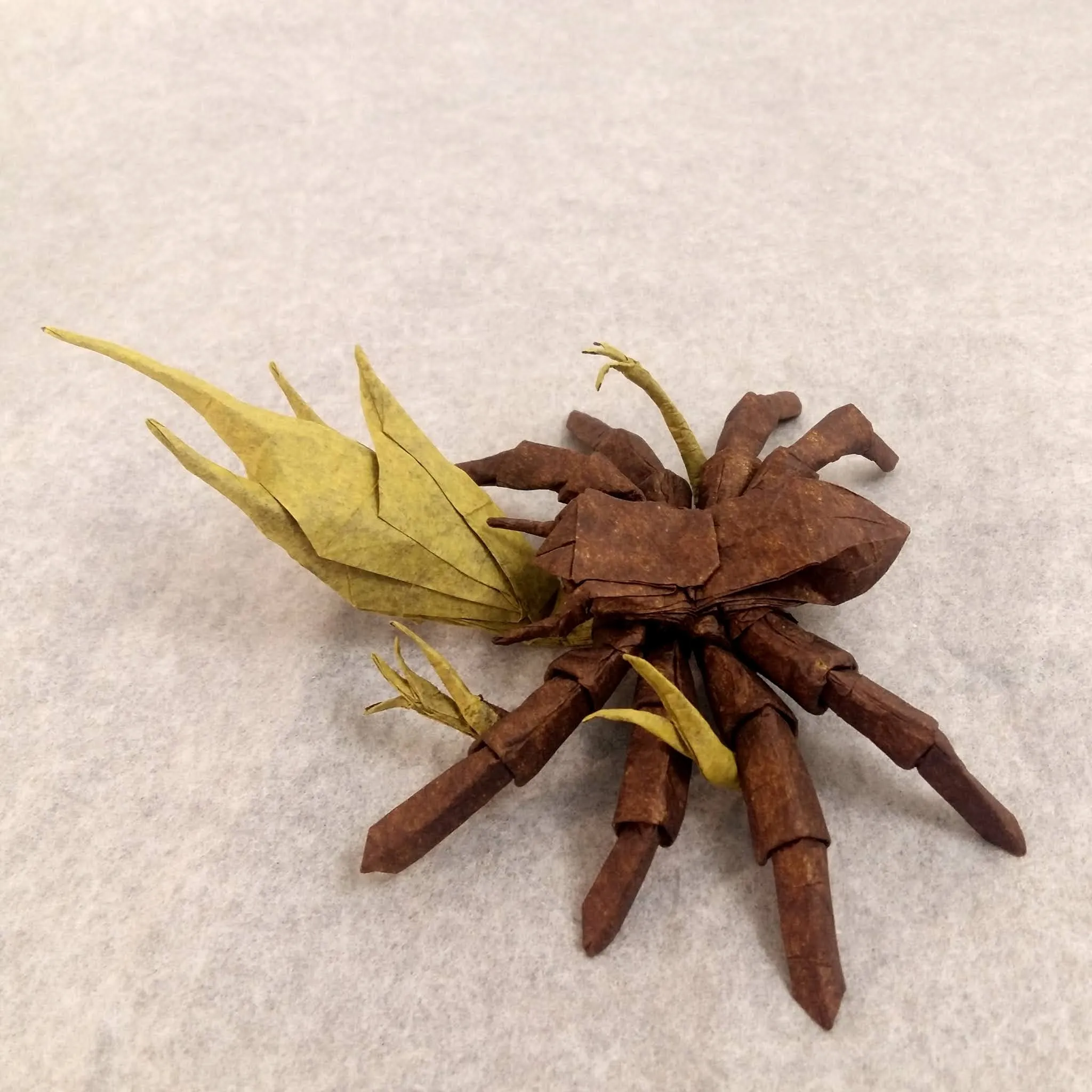 20744 leg folding tarantula
