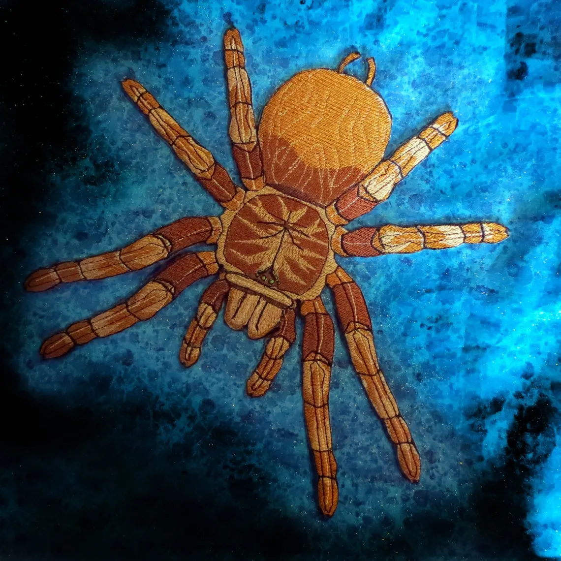 20745 goliath tarantula enclosure