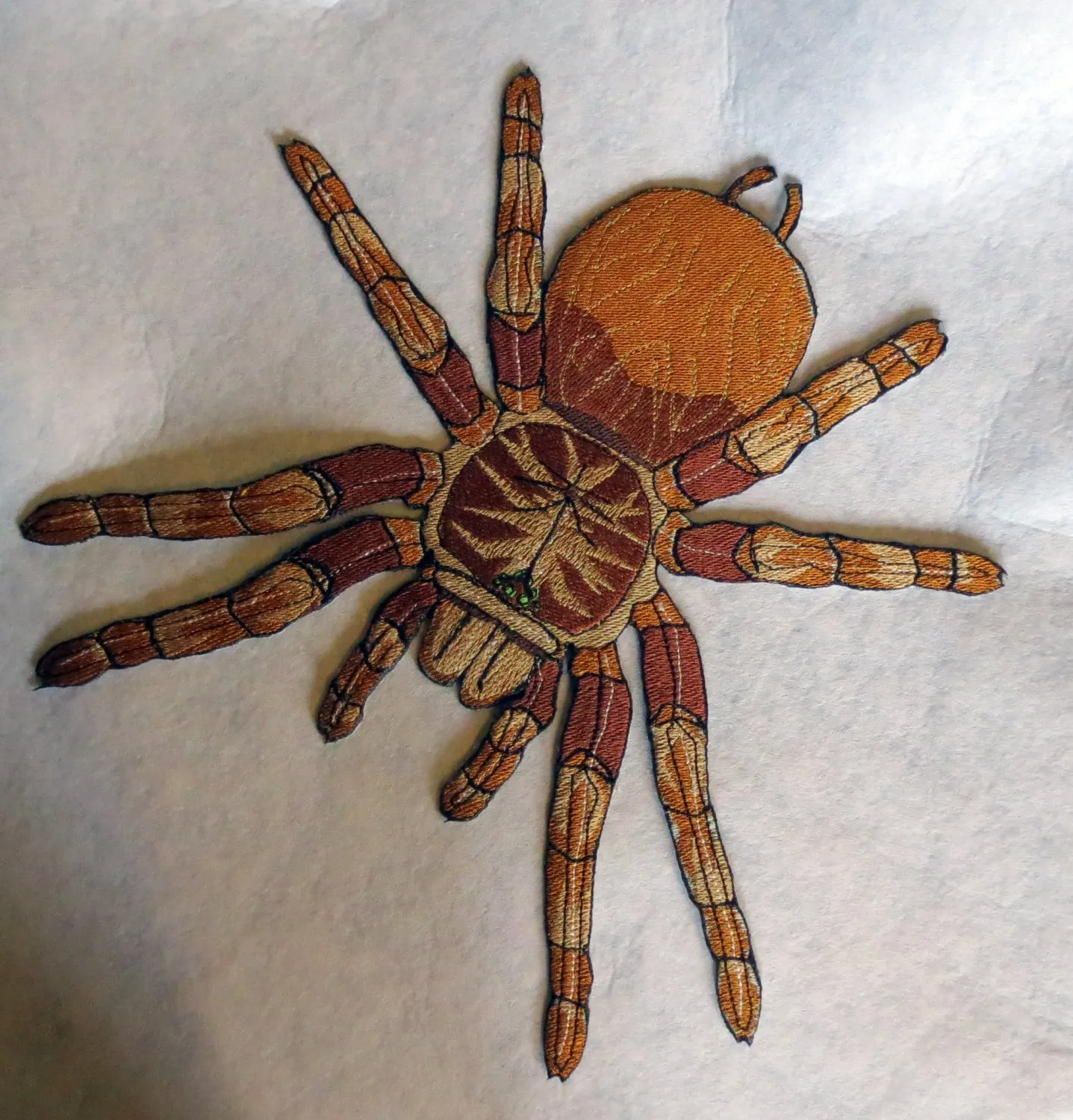 20745 goliath tarantula feeding
