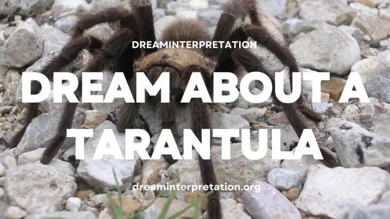 20763 tarantula symbolism