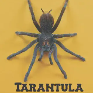 /img/20768-tarantula-record-sheet.webp