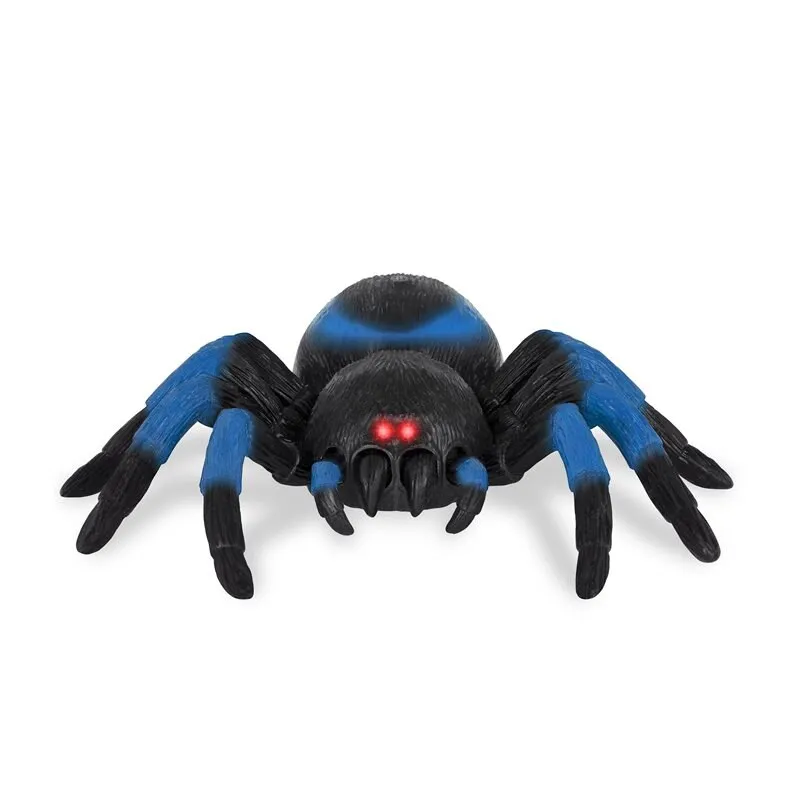 /img/20770-remote-control-tarantula-playing.webp