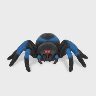 /img/20770-remote-control-tarantula-playing.webp