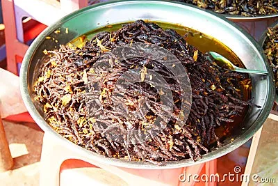 /img/20801-serving-tarantulas.webp